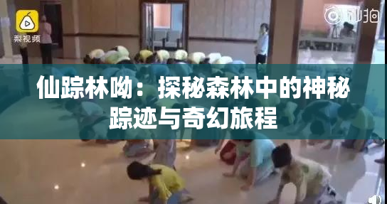 仙踪林呦：探秘森林中的神秘踪迹与奇幻旅程