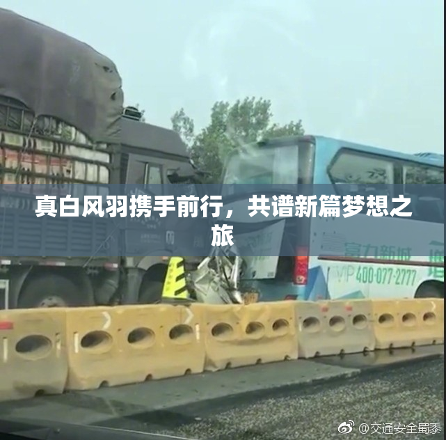 真白风羽携手前行，共谱新篇梦想之旅