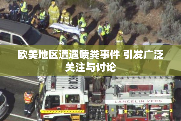 欧美地区遭遇喷粪事件 引发广泛关注与讨论