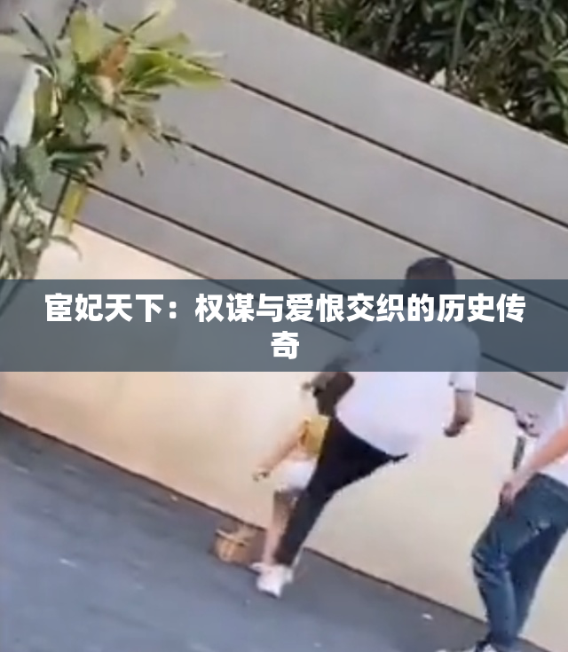 宦妃天下：权谋与爱恨交织的历史传奇