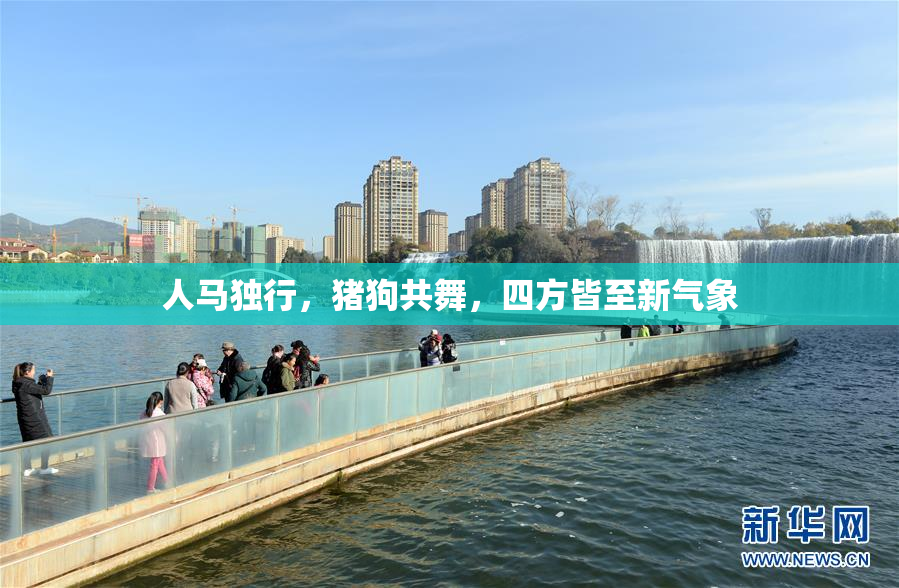 人马独行，猪狗共舞，四方皆至新气象