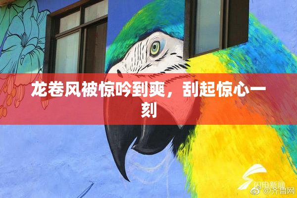 龙卷风被惊吟到爽，刮起惊心一刻