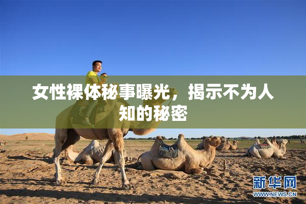 女性裸体秘事曝光，揭示不为人知的秘密