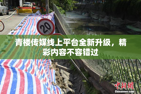 青楼传媒线上平台全新升级，精彩内容不容错过