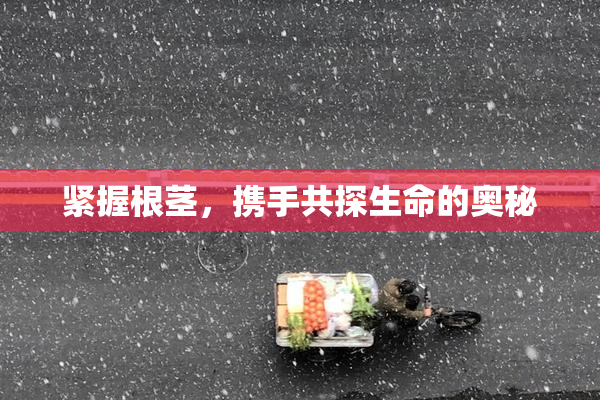 紧握根茎，携手共探生命的奥秘