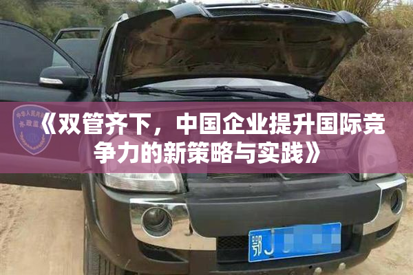 《双管齐下，中国企业提升国际竞争力的新策略与实践》