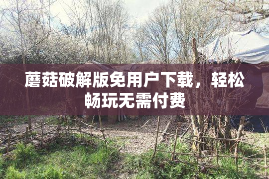 蘑菇破解版免用户下载，轻松畅玩无需付费