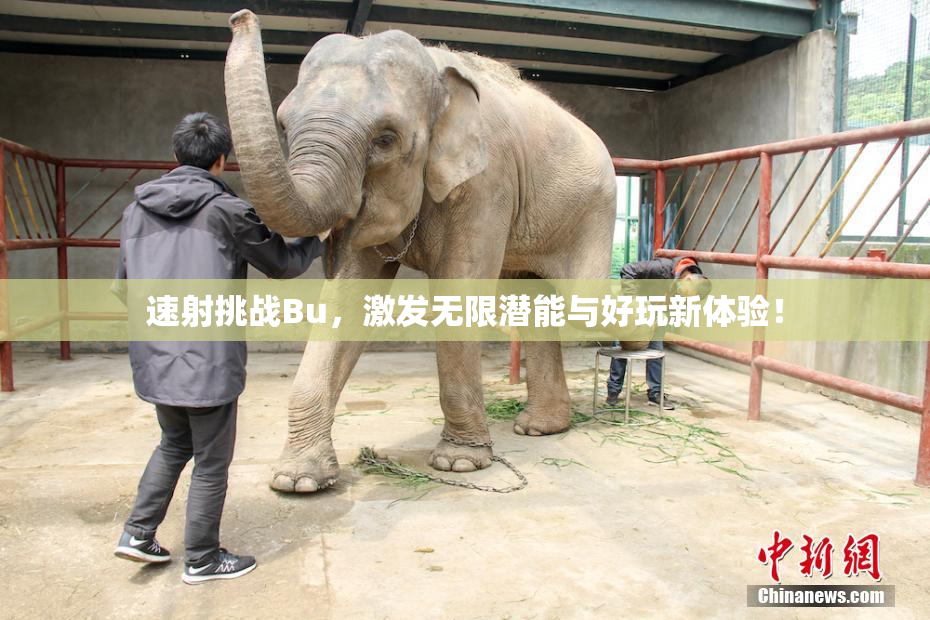 速射挑战Bu，激发无限潜能与好玩新体验！