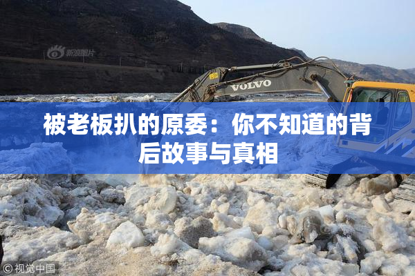 被老板扒的原委：你不知道的背后故事与真相