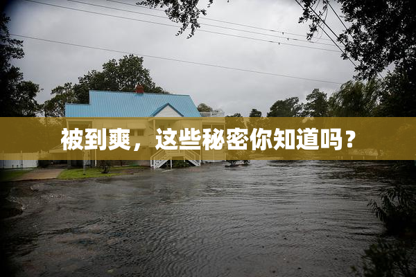 被到爽，这些秘密你知道吗？