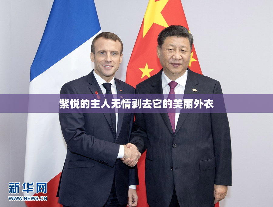 紫悦的主人无情剥去它的美丽外衣