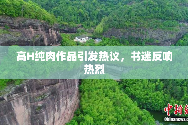 高H纯肉作品引发热议，书迷反响热烈