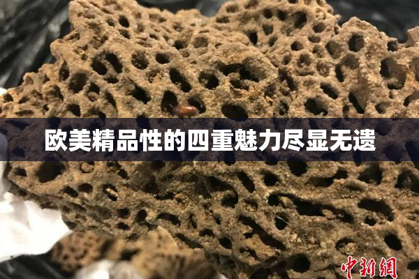 欧美精品性的四重魅力尽显无遗