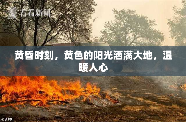 黄昏时刻，黄色的阳光洒满大地，温暖人心