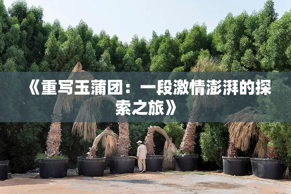 《重写玉蒲团：一段激情澎湃的探索之旅》