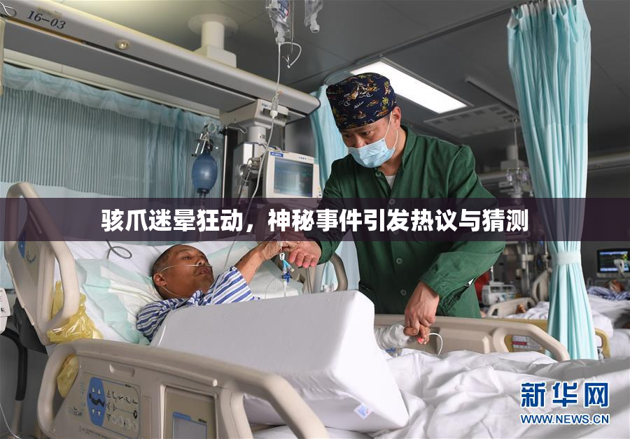 骇爪迷晕狂动，神秘事件引发热议与猜测