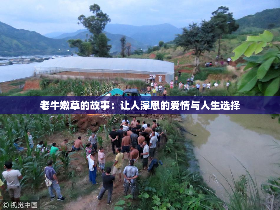 老牛嫩草的故事：让人深思的爱情与人生选择