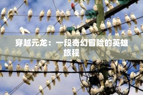 穿越元龙：一段奇幻冒险的英雄旅程