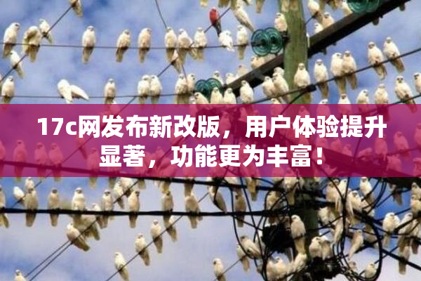 17c网发布新改版，用户体验提升显著，功能更为丰富！