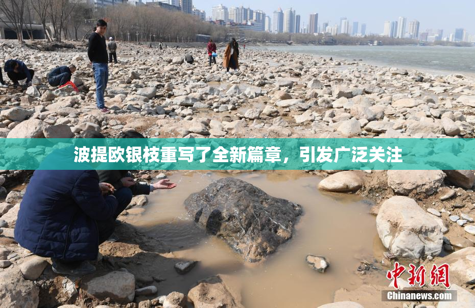 波提欧银枝重写了全新篇章，引发广泛关注