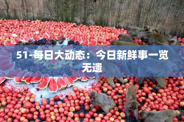 51-每日大动态：今日新鲜事一览无遗