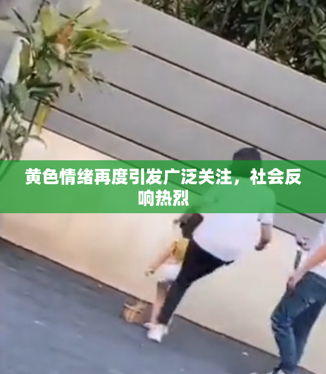 黄色情绪再度引发广泛关注，社会反响热烈