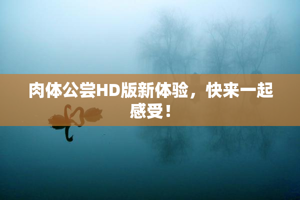 肉体公尝HD版新体验，快来一起感受！