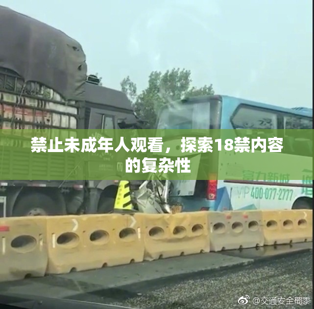 禁止未成年人观看，探索18禁内容的复杂性