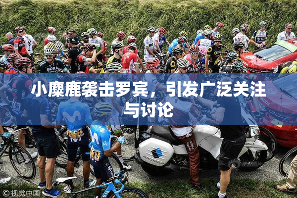 小麋鹿袭击罗宾，引发广泛关注与讨论