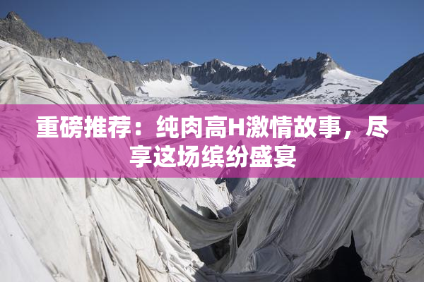 重磅推荐：纯肉高H激情故事，尽享这场缤纷盛宴