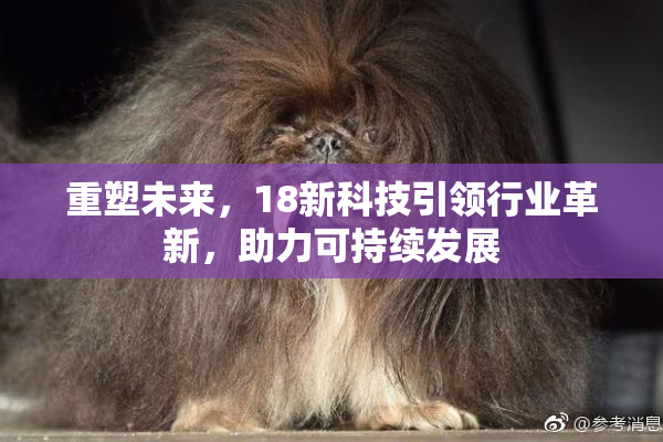 重塑未来，18新科技引领行业革新，助力可持续发展