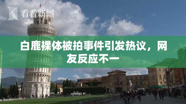 白鹿裸体被拍事件引发热议，网友反应不一