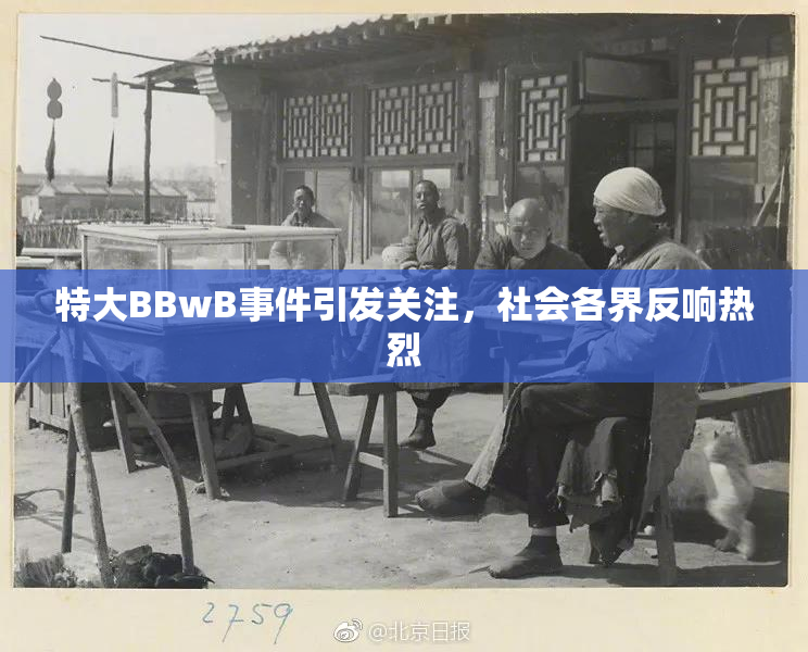 特大BBwB事件引发关注，社会各界反响热烈