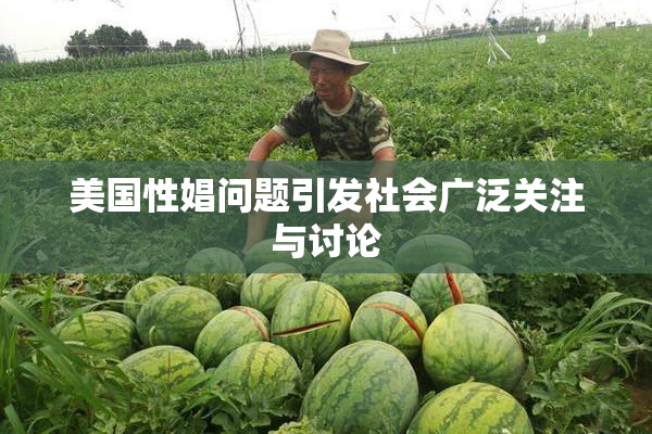 美国性娼问题引发社会广泛关注与讨论