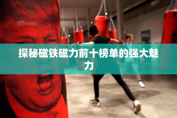 探秘磁铁磁力前十榜单的强大魅力