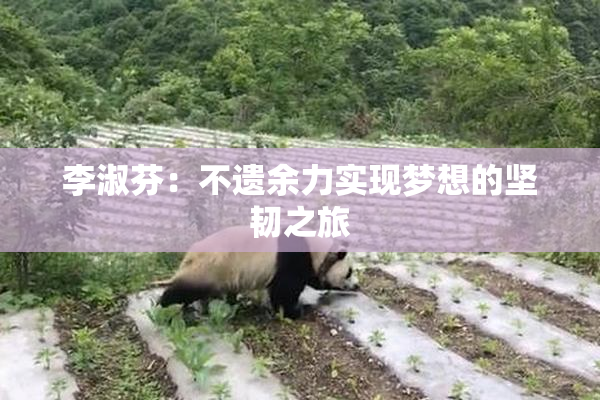 李淑芬：不遗余力实现梦想的坚韧之旅