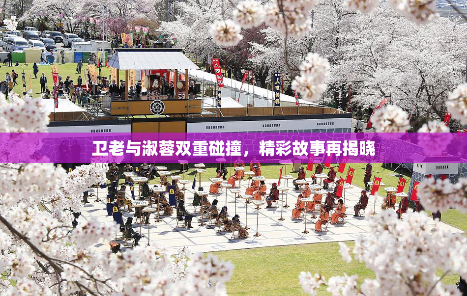 卫老与淑蓉双重碰撞，精彩故事再揭晓