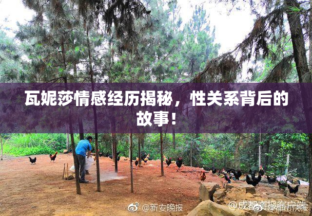 瓦妮莎情感经历揭秘，性关系背后的故事！