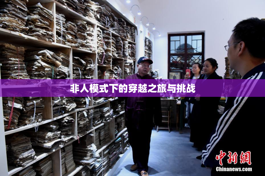 非人模式下的穿越之旅与挑战