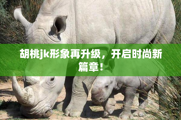 胡桃jk形象再升级，开启时尚新篇章！