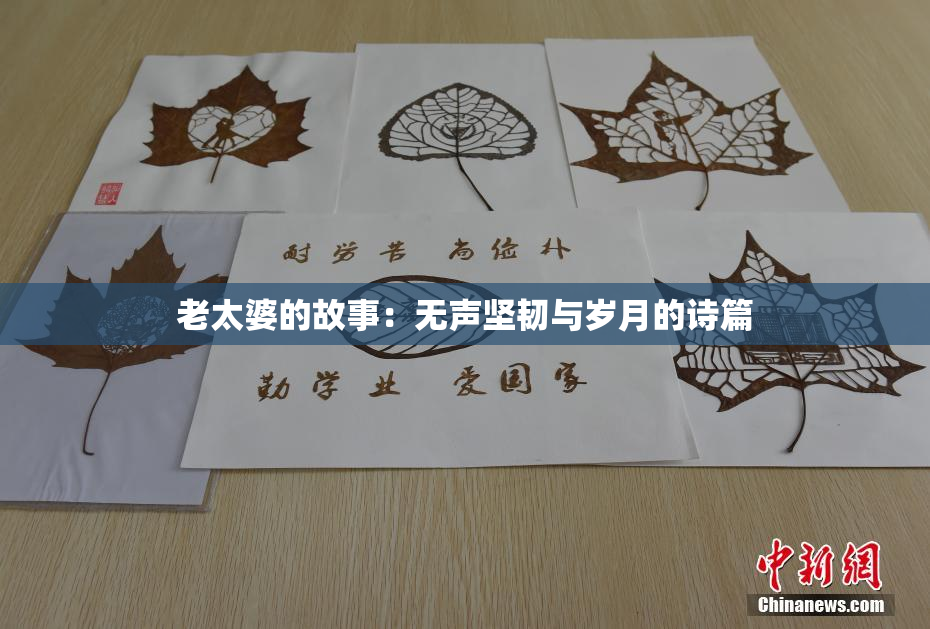 老太婆的故事：无声坚韧与岁月的诗篇