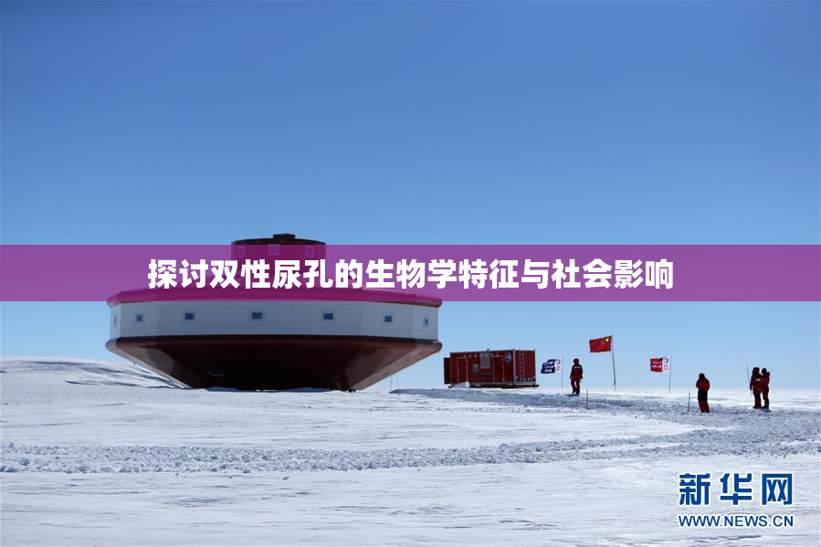 探讨双性尿孔的生物学特征与社会影响