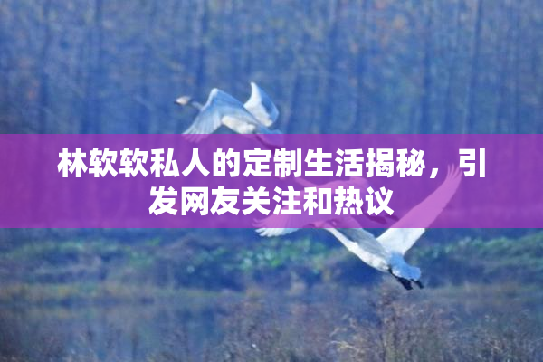 林软软私人的定制生活揭秘，引发网友关注和热议