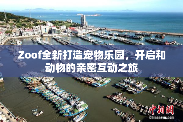 Zoof全新打造宠物乐园，开启和动物的亲密互动之旅