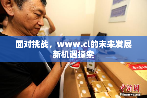 面对挑战，www.cl的未来发展新机遇探索