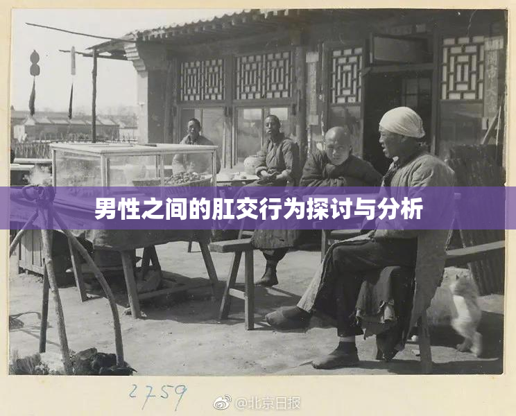 男性之间的肛交行为探讨与分析