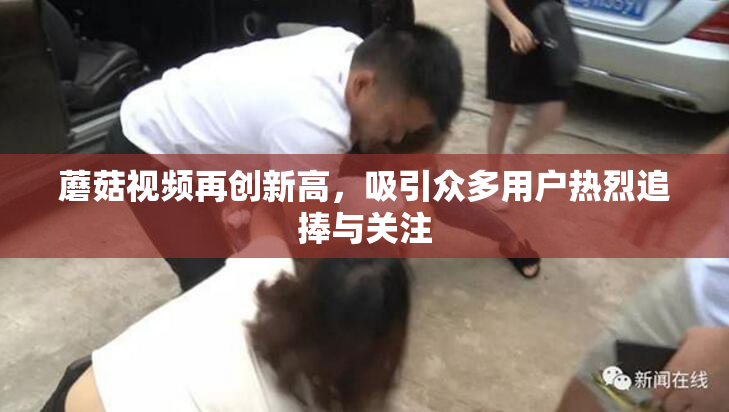 蘑菇视频再创新高，吸引众多用户热烈追捧与关注
