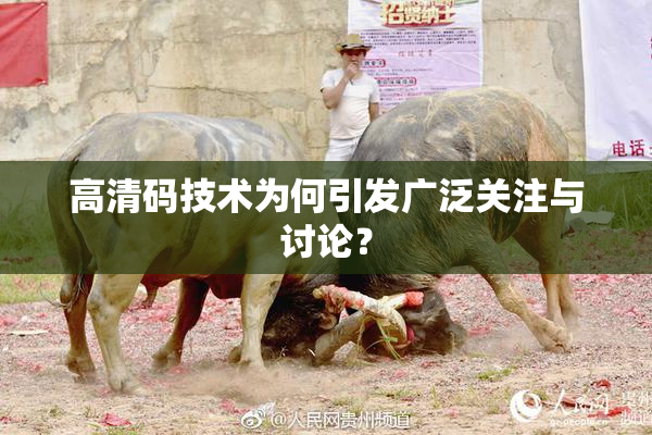 高清码技术为何引发广泛关注与讨论？