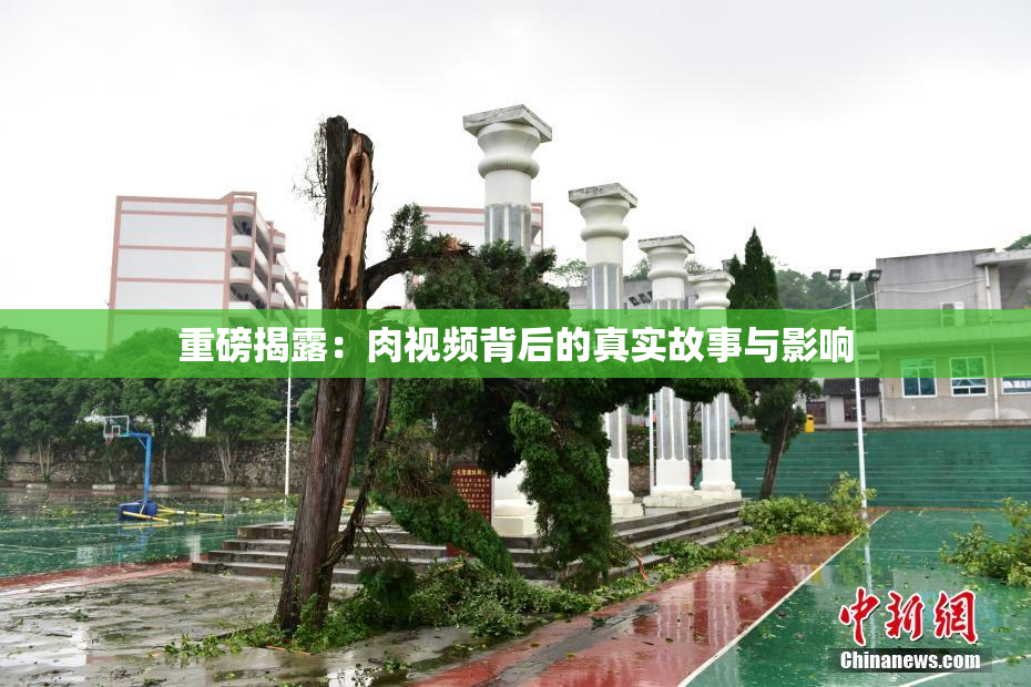 重磅揭露：肉视频背后的真实故事与影响