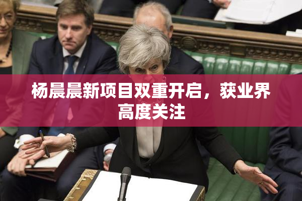 杨晨晨新项目双重开启，获业界高度关注